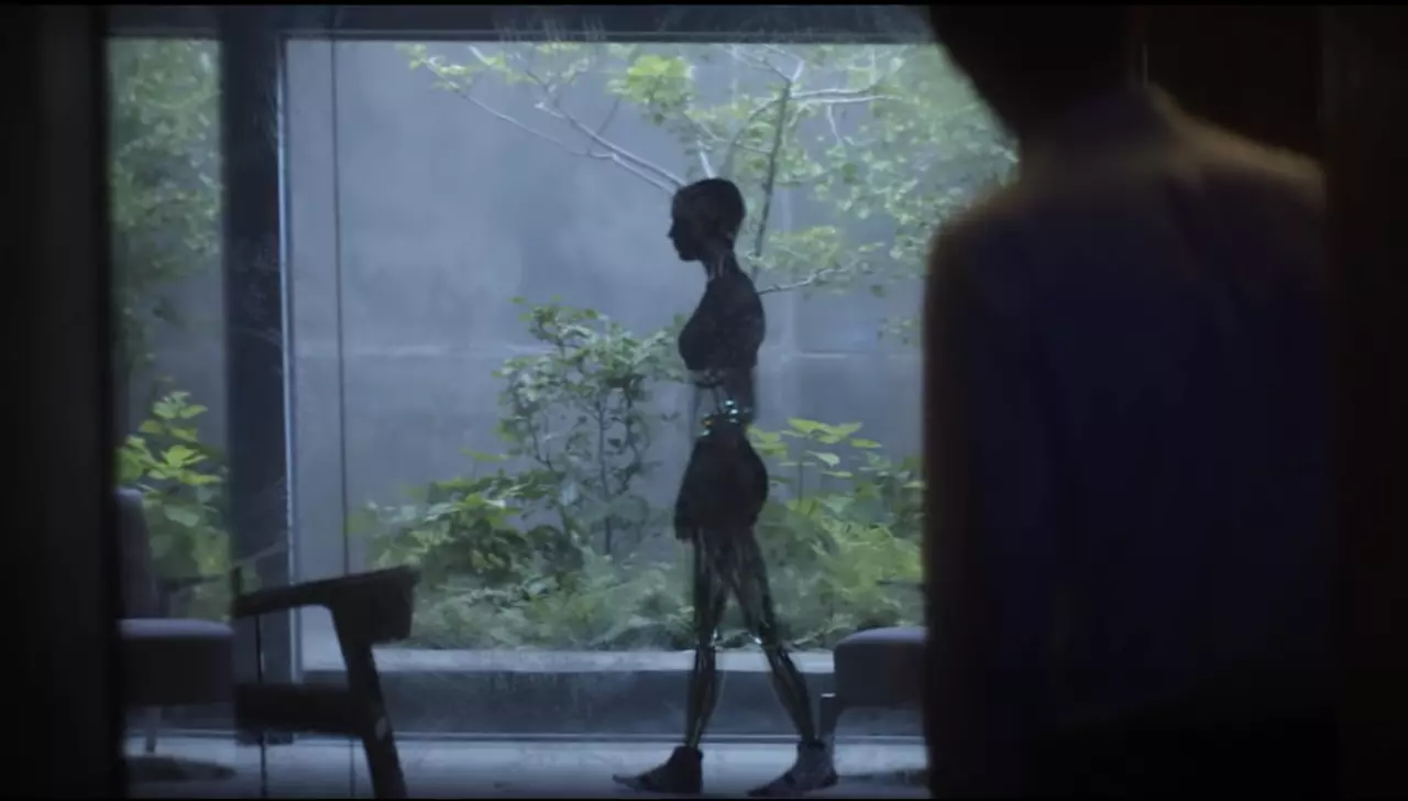 A screenshot from the movie 'Ex Machina'. Android in the back and silhouette of human the front